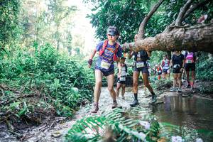 BIB: 
                            <button type="button" onclick="openModal(25447905)" class="btn btn-primary btn-sm float-right btn-popup" data-toggle="modal" data-target=".modal-high-quality">
                        <i class="fas fa-shopping-cart"></i> Add to Cart
                    </button>
                                            <button type="button" onclick="isThisMe(25447905, true)" class="btn btn-success btn-sm float-right btn-popup btn-isme hidden" data-toggle="tooltip" data-placement="bottom" title="นี่คือรูปของคุณใช่ไหม คลิกที่นี่เพื่อเอาเข้าอัลบั้ม">
                        <i class="fas fa-plus"></i> Add to album
                    </button>
                    <button type="button" onclick="isThisMe(25447905, false)" class="btn btn-warning btn-sm float-right btn-popup btn-isnotme hidden">
                        <i class="fas fa-ban"></i> Remove from album
                    </button>